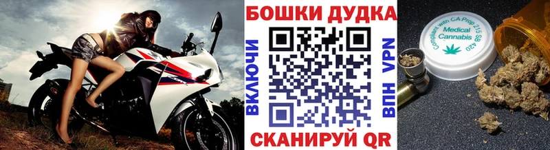 Купить закладку СК  Галлюциногенные грибы  Канабис  Меф  Вихоревка