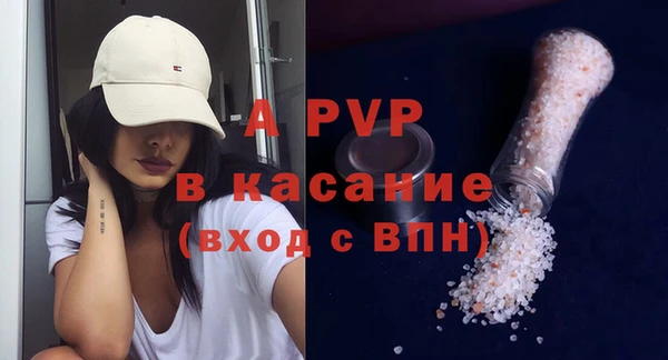 ПСИЛОЦИБИНОВЫЕ ГРИБЫ Елизово