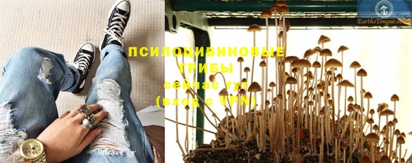 ПСИЛОЦИБИНОВЫЕ ГРИБЫ Елизово