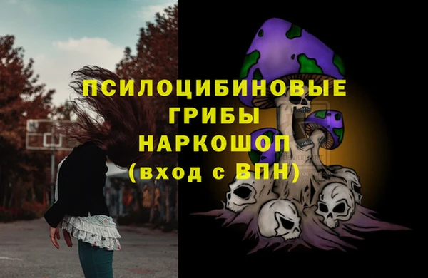 ПСИЛОЦИБИНОВЫЕ ГРИБЫ Елизово